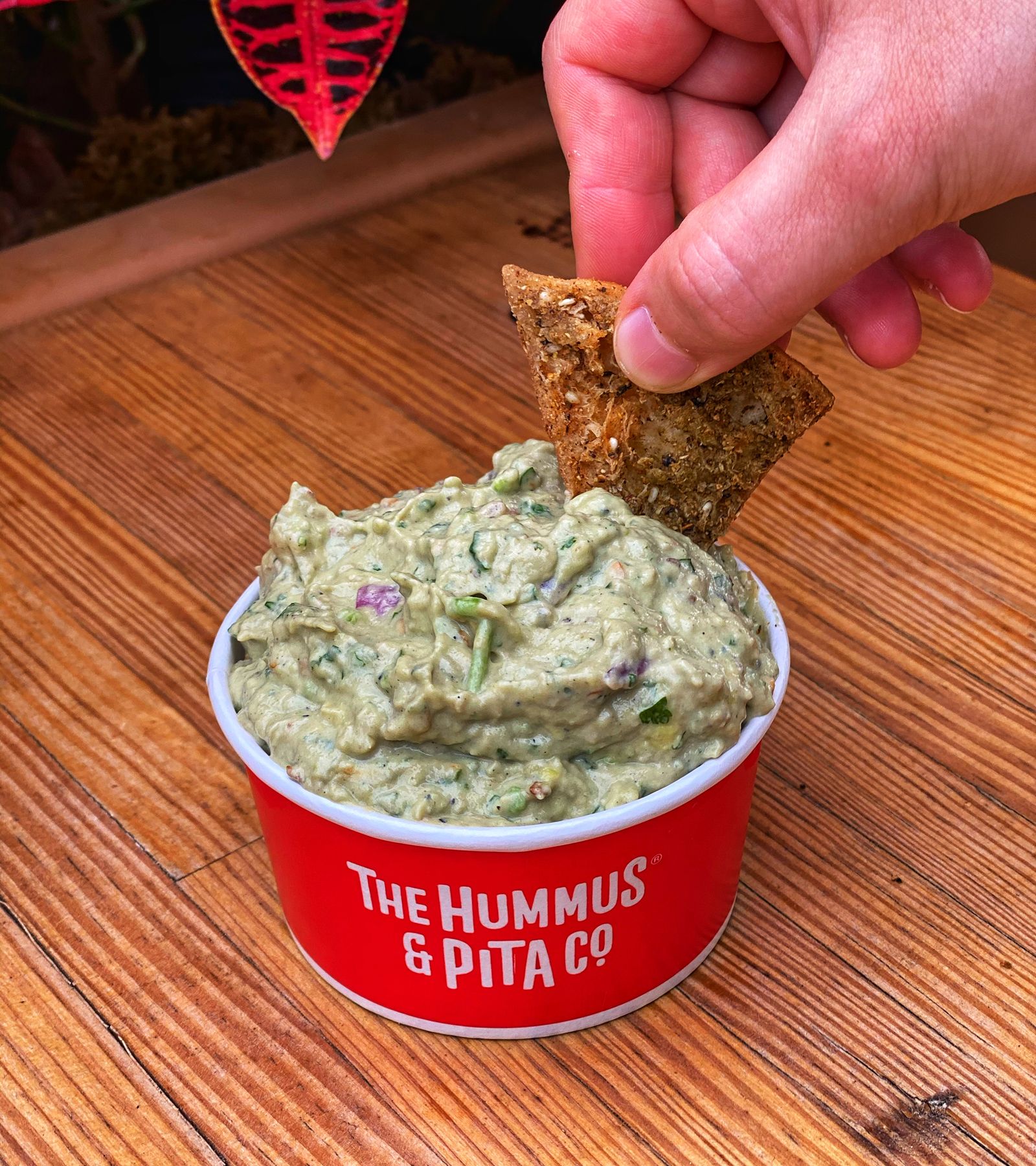 The Hummus & Pita Co. Continues to Expand Menu With More Authentic