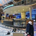 Starbucks and Royal Caribbean to Offer First Ever Starbucks at Sea on Allure of the Seas