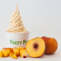 The Fuzzy Peach Frozen Yogurt Bar Announces Launching of Franchise Operations