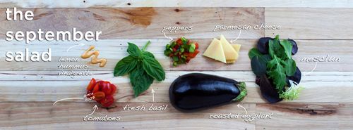September's "Fruit" Salad: In-Season Eggplant September's "Fruit" Salad: In-Season Eggplant