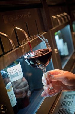 Scary Facts About Wine Waste and Deathly Pitfalls to Avoid