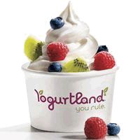 Yogurtland Opens First New York City Location