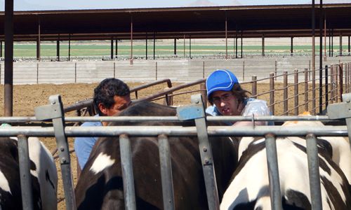 Menchie's CEO Amit Kleinberger Gets a Taste of His Franchise Operations on the CBS Hit Series "Undercover Boss"