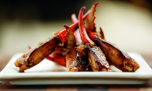 Renowned Chef Peter Sclafani Releases Debut Cookbook in Time for the Holidays