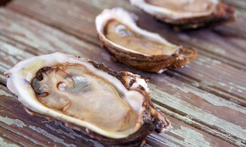 Celebrate Seafood this Lenten Season at Ruffino's