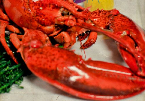 Ruffino's Celebrates Summer's End With New Lobster Festival Menu
