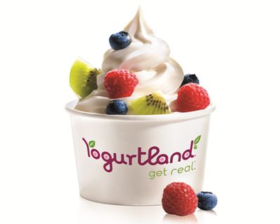 Takiguchi Named Brand Management VP at Yogurtland