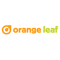 Veterans Day Deal From Orange Leaf Frozen Yogurt Honors Vets With Free Froyo