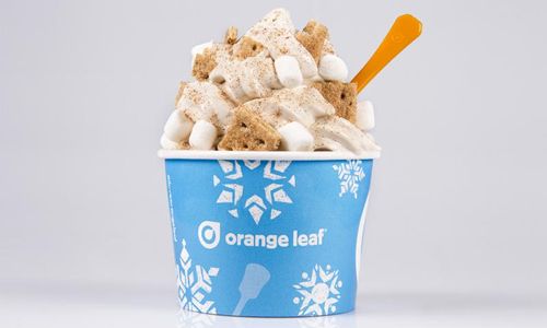 Veterans Day Deal From Orange Leaf Frozen Yogurt Honors Vets With Free Froyo