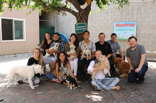 PizzaRev Launches #PizzaRevPets Campaign to Promote Pet Adoption in June