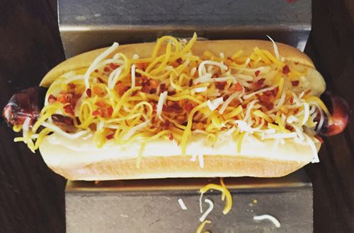 JJ's Red Hots Back to School Dog of the Week Initiative to Benefit Charlotte-Mecklenburg Library Foundation