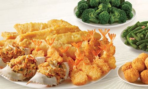Captain D's Now Open in Franklin North Carolina