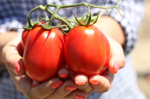 PizzaRev's 'Celebrate the Sauce' Campaign Shows Brand's Commitment to All-Natural Pizza Ingredients