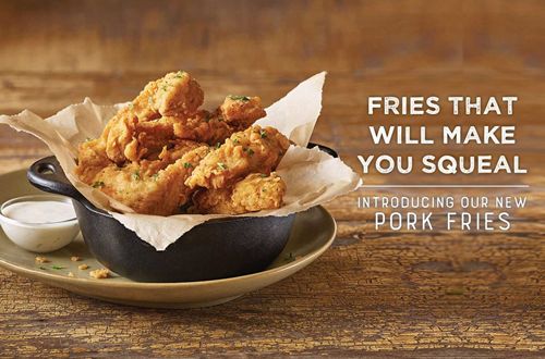 Logan's Roadhouse Just Upped the Appetizer Game with the Introduction of Pork Fries