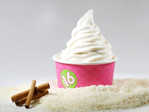 Cinnamon Rice Pudding Fro-Yo at 16 Handles