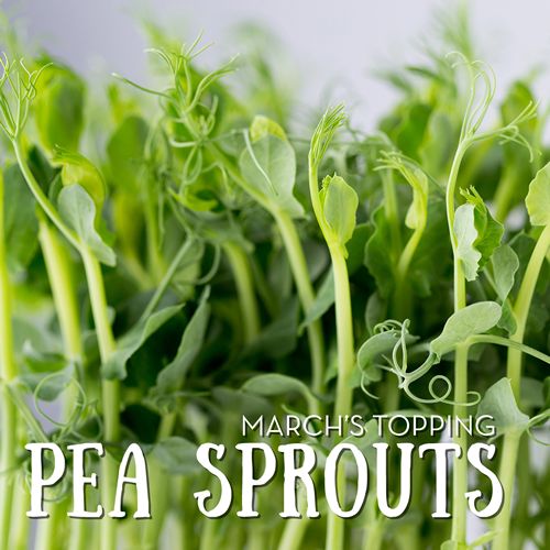 March Brings Pea Sprouts to Salata's Toppings Lineup