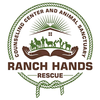 Sunny Street Café in Roanoke Raises over $10,000 for Ranch Hands Rescue