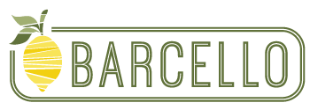 Barcello Names Anthony Zarate GM