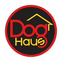 Dog Haus Prepares to Scale New Heights in 2020