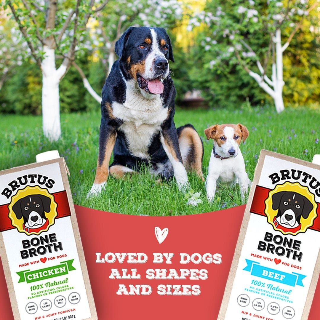 Star Chefs Partner with Brutus Broth for National Cook for Your Pet Day on November 1st Star Chefs Partner with Brutus Broth for National Cook for Your Pet Day on November 1st