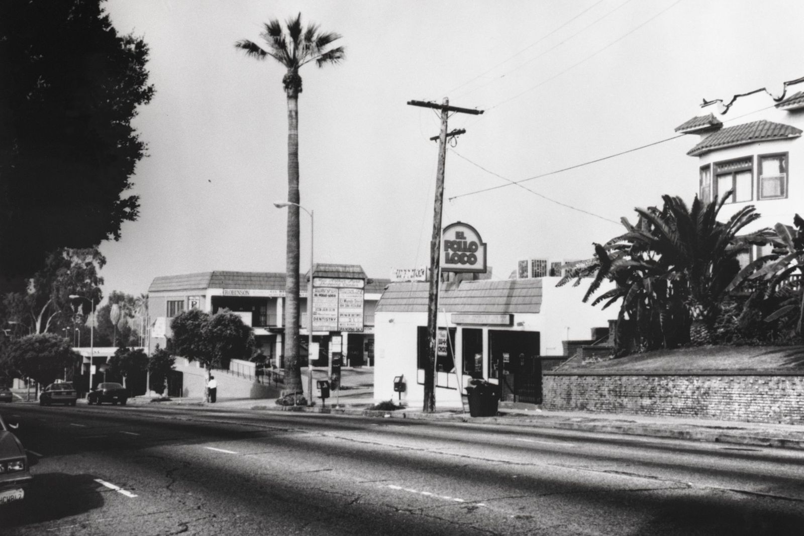 El Pollo Loco, Alvarado Street Restaurant El Pollo Loco Celebrates 40th Anniversary with Throwback to Original Logo